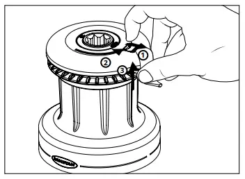 Determine winch mounting position 