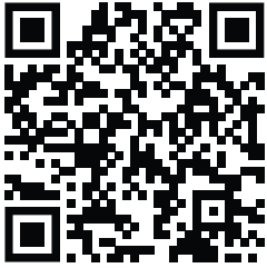 SENNHEISER RS 120-W On-Ear Wireless Headphones 14