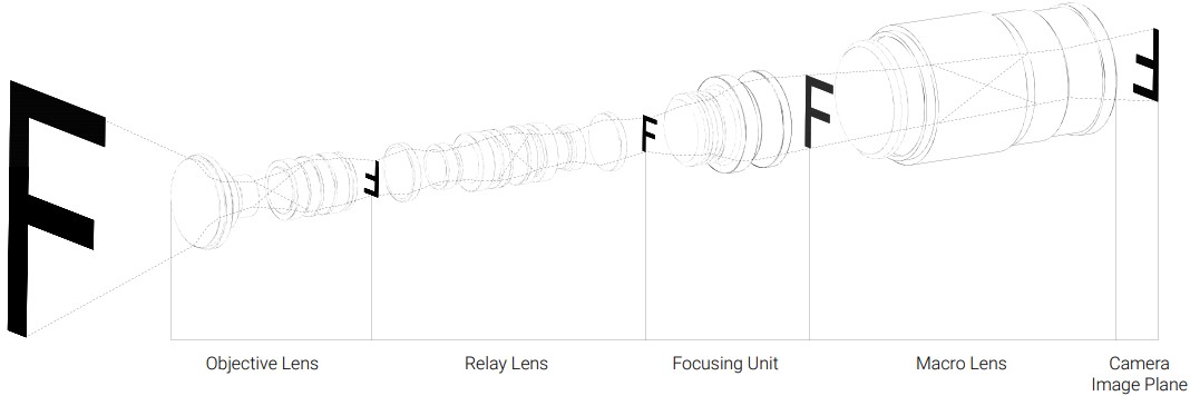 Function