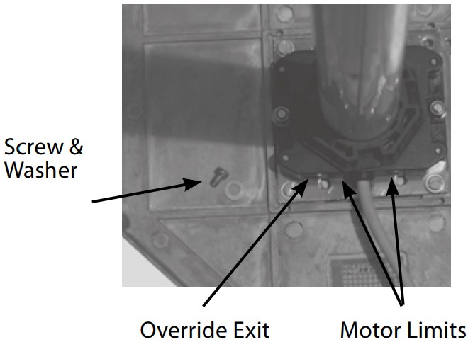 Anti-Fall Back Spring 