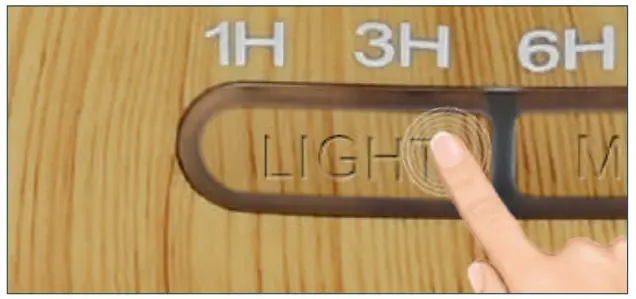 Light Button