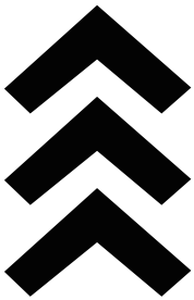 Max Speed Icon