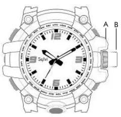 Analog Watch