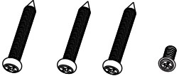 Screw