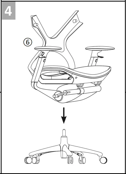 Assembly Instruction