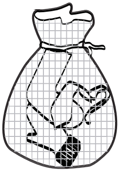 Put small clothes into the
pillow slip