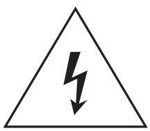 Electric Shock Icon