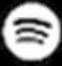 Button Icon