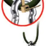 Squirrel Buster IMP-LEGACY-DEPLIANT2019 Legacy Squirrel Proof Bird Feeder - critters