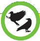 Squirrel Buster IMP-LEGACY-DEPLIANT2019 Legacy Squirrel Proof Bird Feeder - icon5