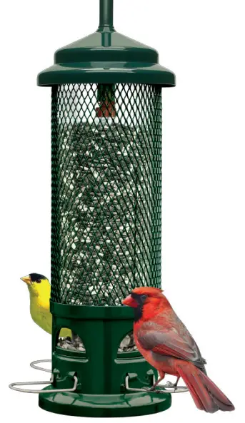 Squirrel Buster IMP-LEGACY-DEPLIANT2019 Legacy Squirrel Proof Bird Feeder