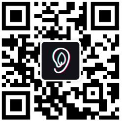 Suear-Visual-WiFi-Ear-Endoscope-FIG-1