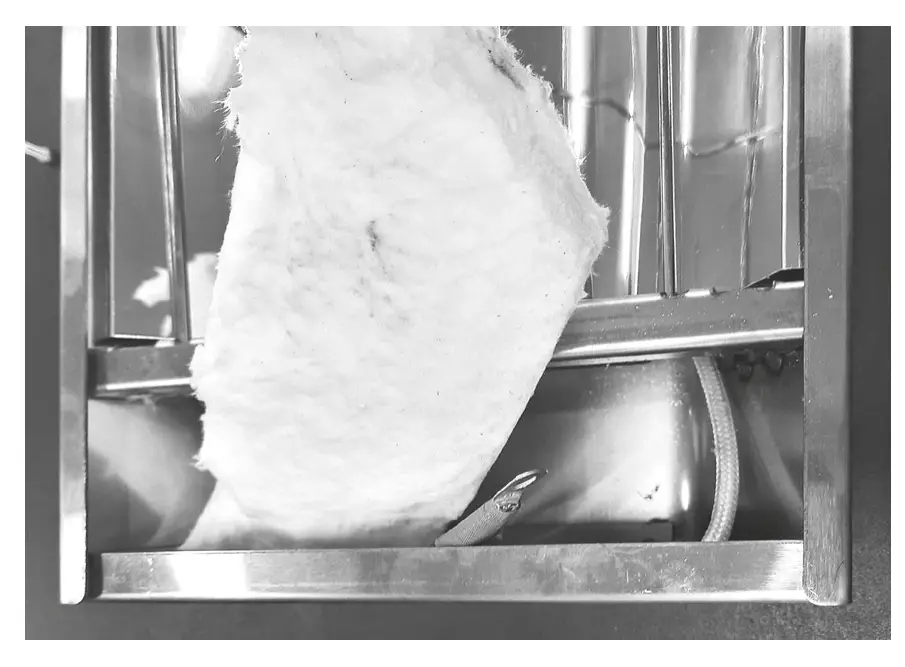 Assembly Instructions