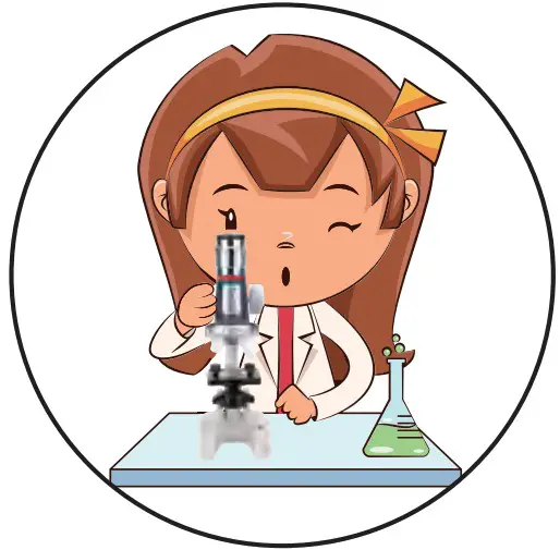 UARZT 58 Pcs Kids Beginner Microscope - step 8