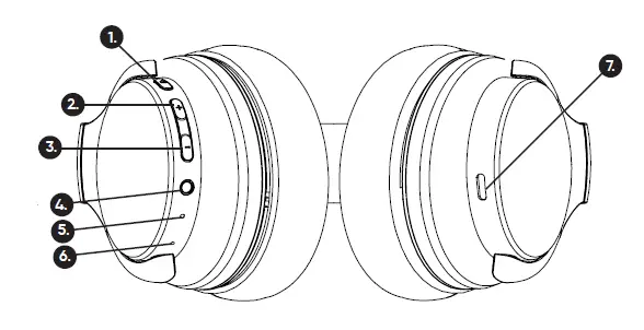 DEVICE LAYOUT