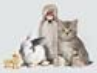 VEVOR Foldable Portable Pet Playpen - g2