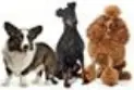 VEVOR Foldable Portable Pet Playpen - g4