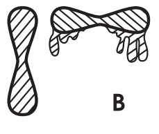WALCOM 9011 Spray Gun - FORM 1