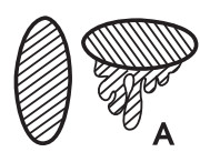 WALCOM 9011 Spray Gun - low