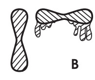WALCOM 9011 Spray Gun - pressure