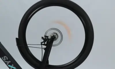 WOLF Daxys Electric Mountain Bike - b19