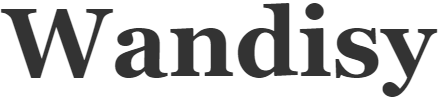 Wandisy-logo