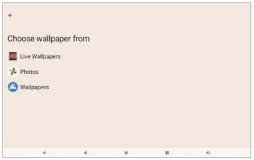 YYSWIE-CT1001-Tablet-PC-FIG- (3)