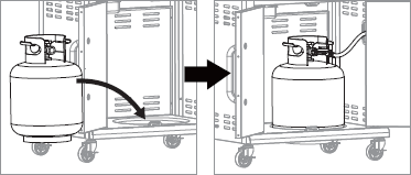 gas assembly
