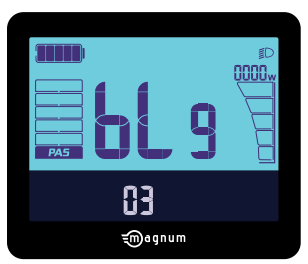 magnum Premium III 500W Electric Bike - Interface 2