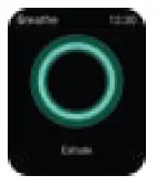 noise-ColorFit-Caliber-3-Smart-Watch-Fig- (10)