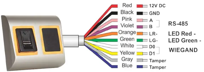 WIRING